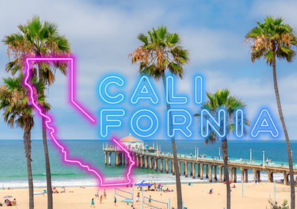 California background with neon pink and blue California sign