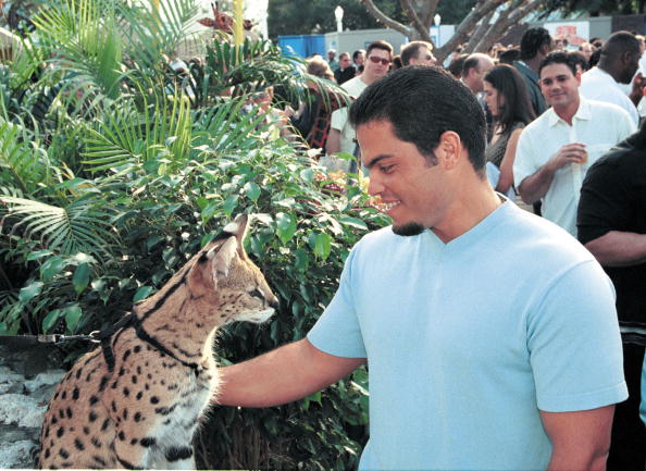 Celebs At Busch Gardens Tampa Bay