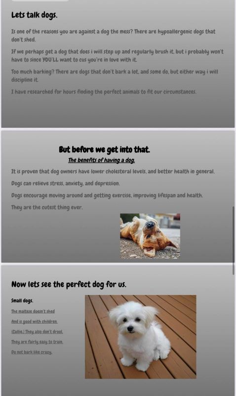 Slides of a boy presenting his case to adopt a shelter dog